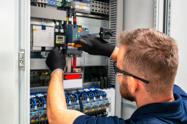 Best Electric Panel Repair  in White Hall, WV